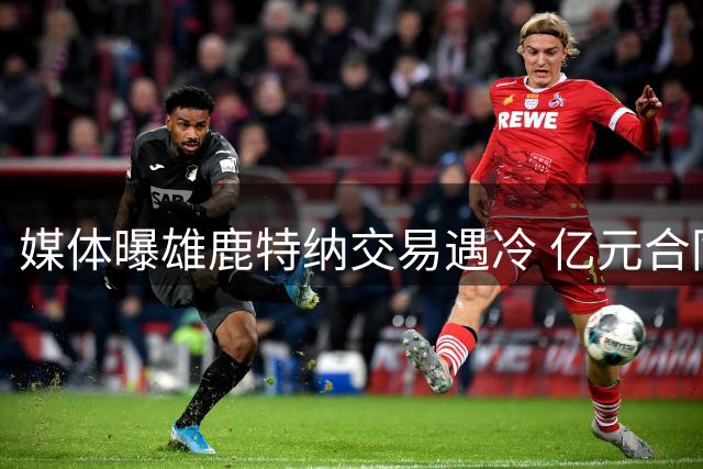 媒体曝雄鹿特纳交易遇冷 亿元合同难觅接盘者